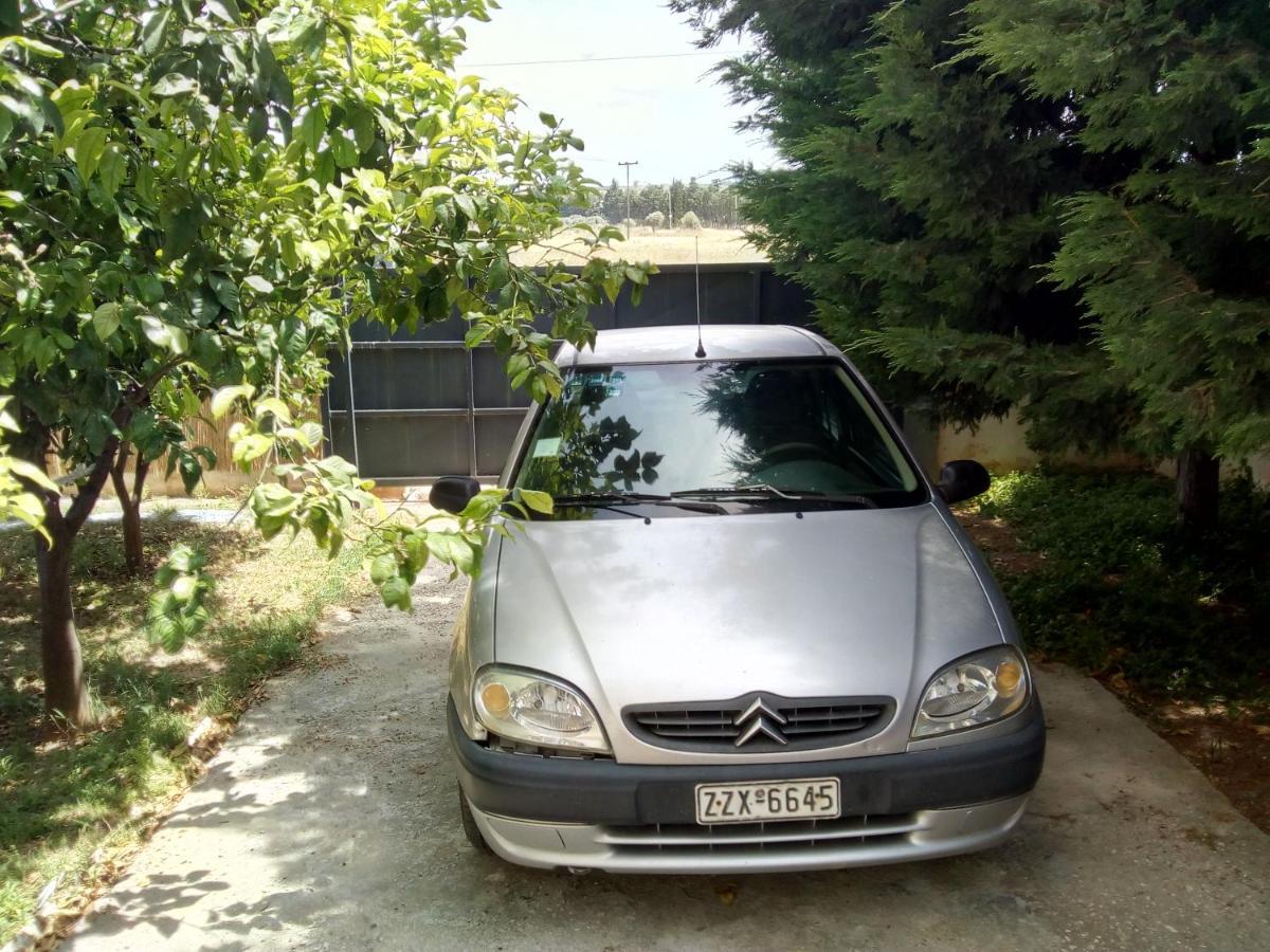Poseidonia 75sqm Canal *